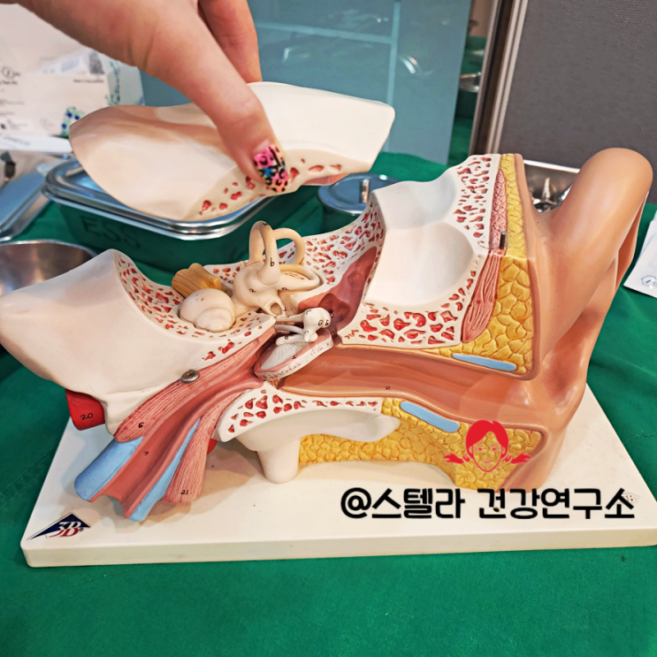 코로나 후유증 귀통증 종류와 원인 알아보기