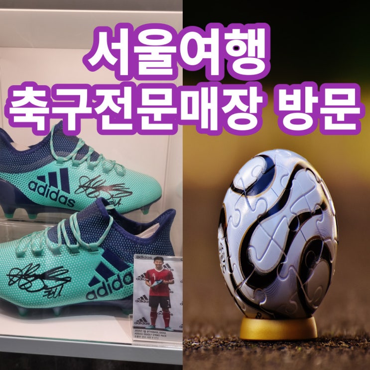  싸카 스포츠 ddp 점으로 여행 가자!!