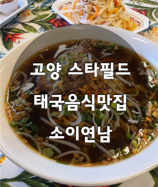  태국 야시장느낌 진한 쌀국수 / 소이연남 스타필드고양점