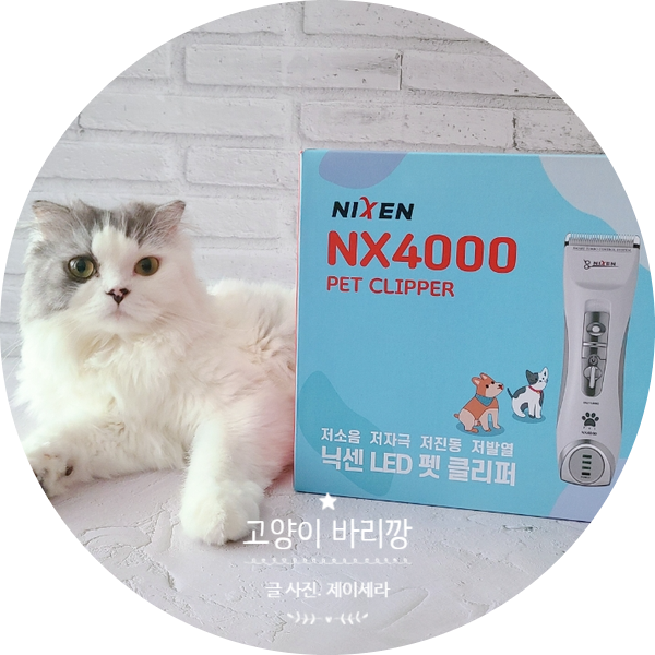 고양이바리깡 닉센 NX4000 으로 셀프미용 하기 (ft. 고양이털밀기 )