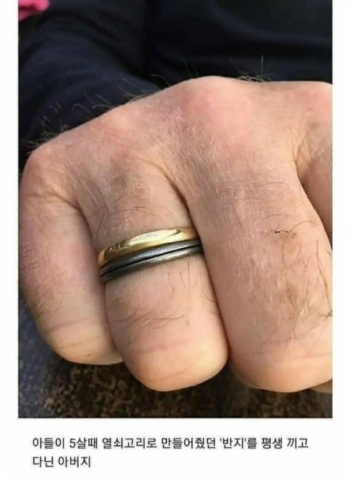  사랑이 무엇인지 보여주는 장면들