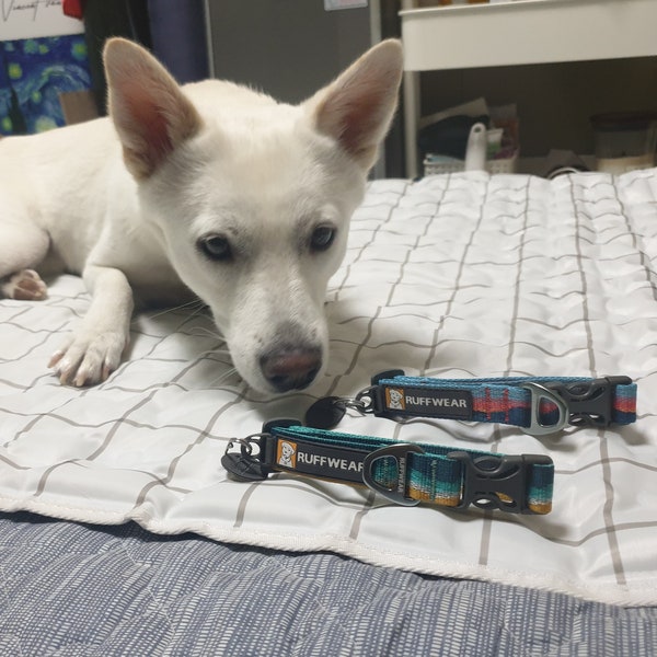 러프웨어(Ruffwear) 목줄로 산책을 더 편하게 러프웨어(Ruffwear) 목줄로 산책을 더 편하게