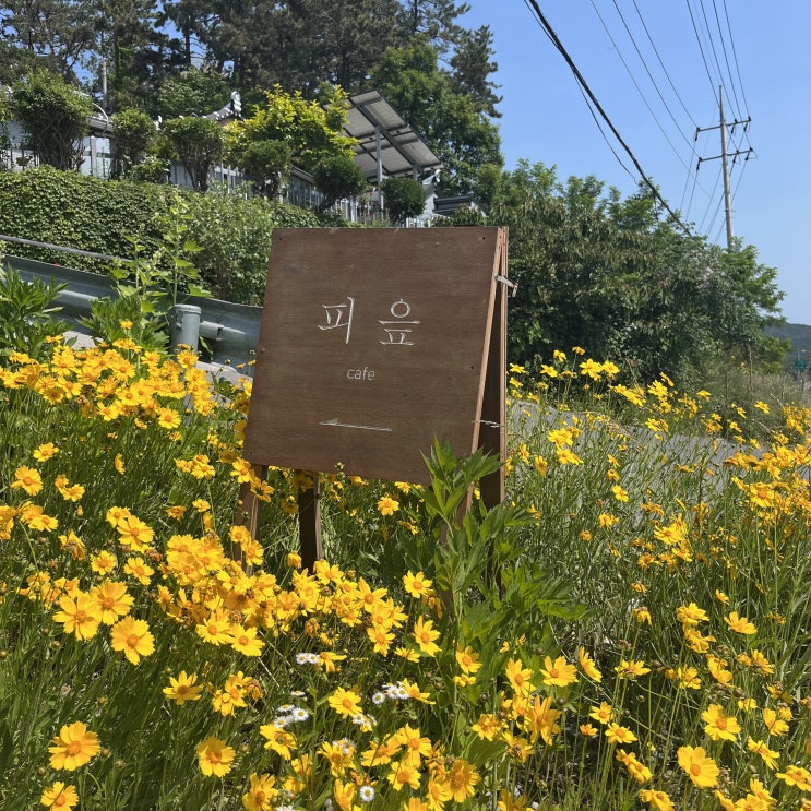  전남 여수시 돌산 피읖카페