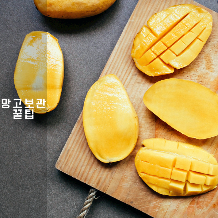  망고 냉장보관 손쉽게 따라 하기! 맛있는 보관방법 꿀팁