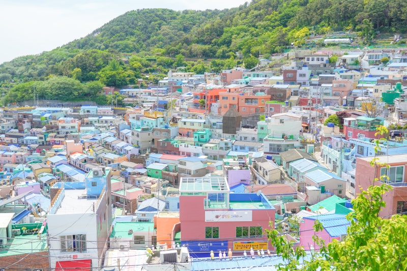 부산의 대표 벽화마을, 감천문화마을 방문기! : 네이버 블로그