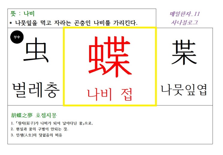  매일한자 공부하기(11) 나비 접
