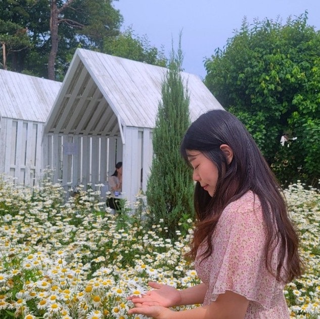  강화도 데이지카페 - 마호가니 강화점