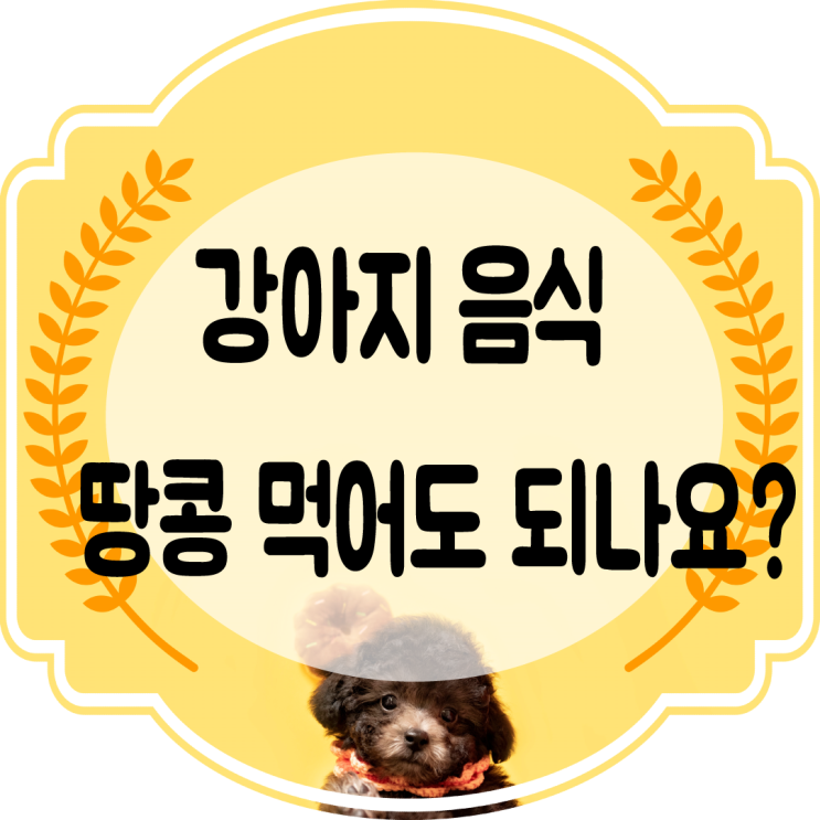  강아지음식 - 강아지땅콩 먹어도 되나요 (강아지견과류)