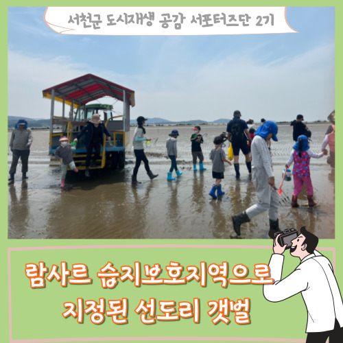  [서포터즈]람사르 습지보호지역으로 지정된 선도리갯벌