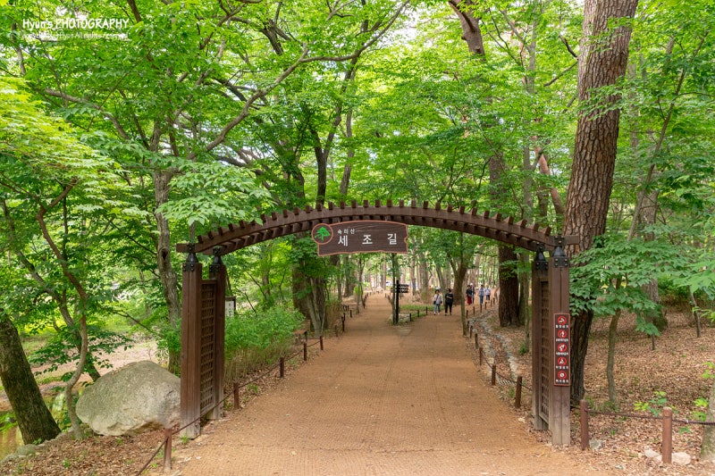 충북 가볼만한곳 보은 속리산 법주사와 세조길