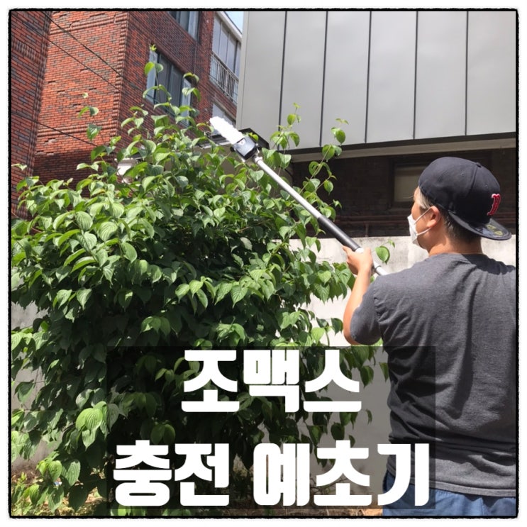 조맥스 58V 충전 예초기 강력한 파워 화단정리 후기 조맥스 58V 충전 예초기 강력한 파워 화단정리 후기