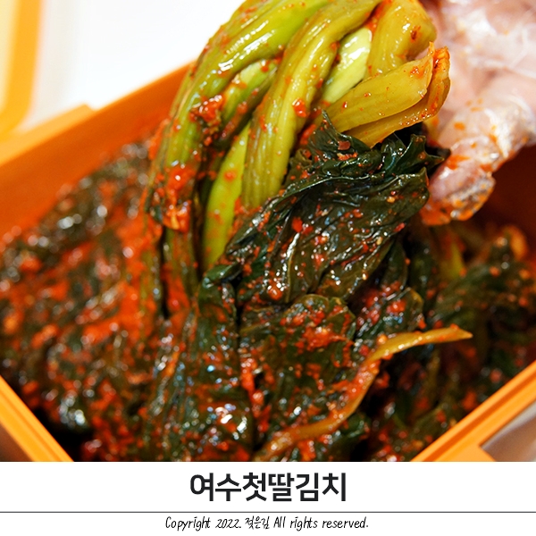 맛있는김치추천 여수첫딸김치 여수돌산갓김치와 열무김치 기가 막혀요