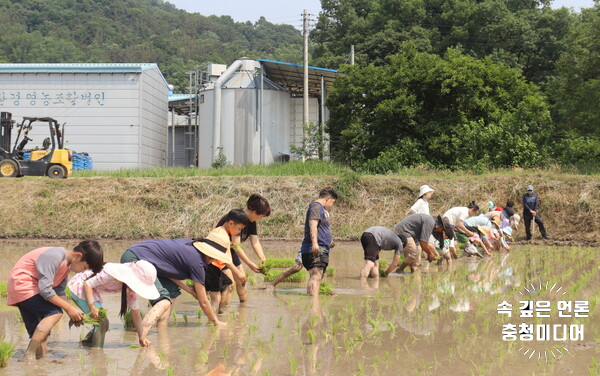  옥천로컬푸드직매장 소비자 체험행사 인기