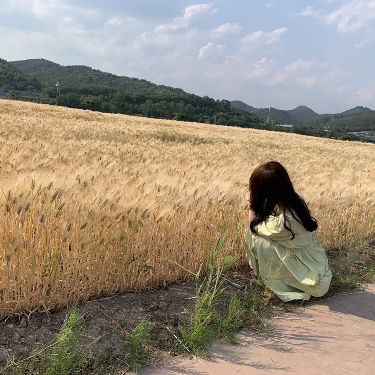  나의 해방일지