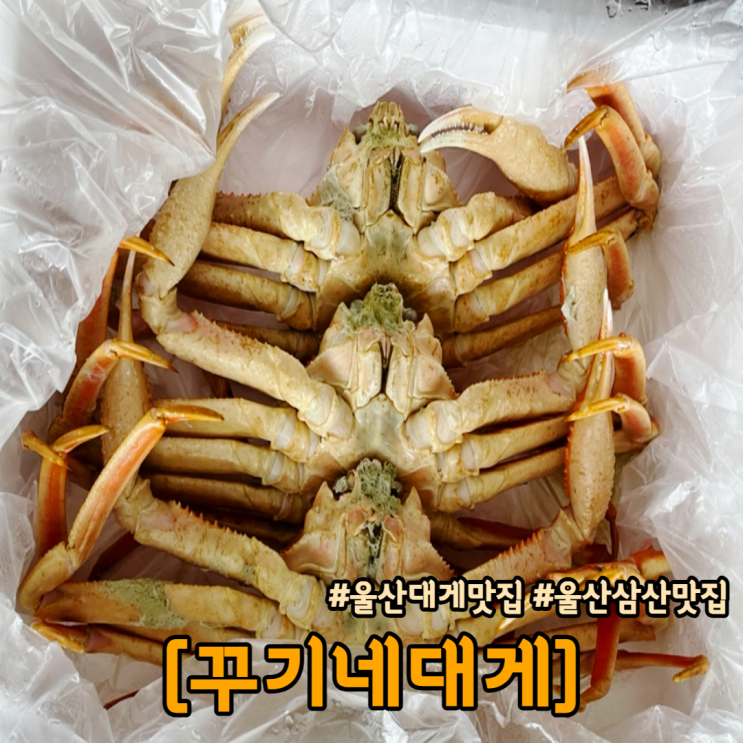  울산 대게 맛집 꾸기네대게