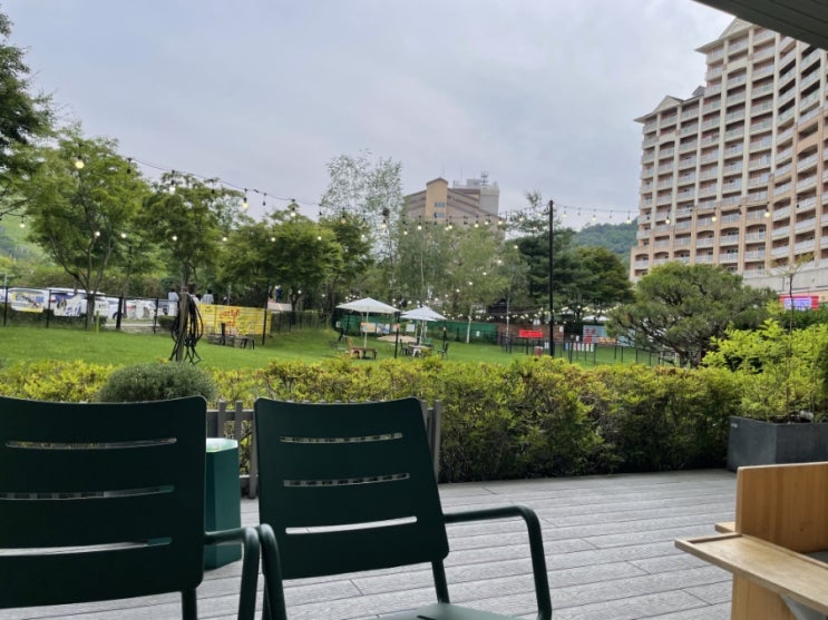 홍천 소노펫 클럽앤리조트 비발디파크 리트리버 밤이와 반나절 여행 홍천 소노펫 클럽앤리조트 비발디파크 리트리버 밤이와 반나절 여행