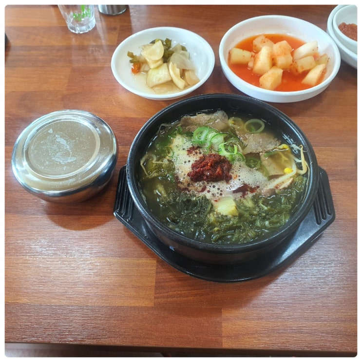  제주 신화월드 근처 아침 조식 가능한 동광리 맛집 양가네