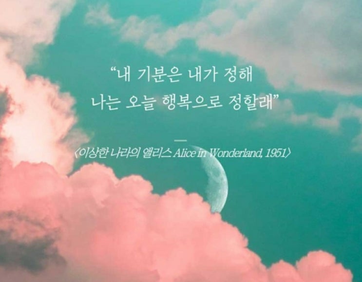  부거사이 [부동산 뉴스와 블로그] 6월 14일(화)