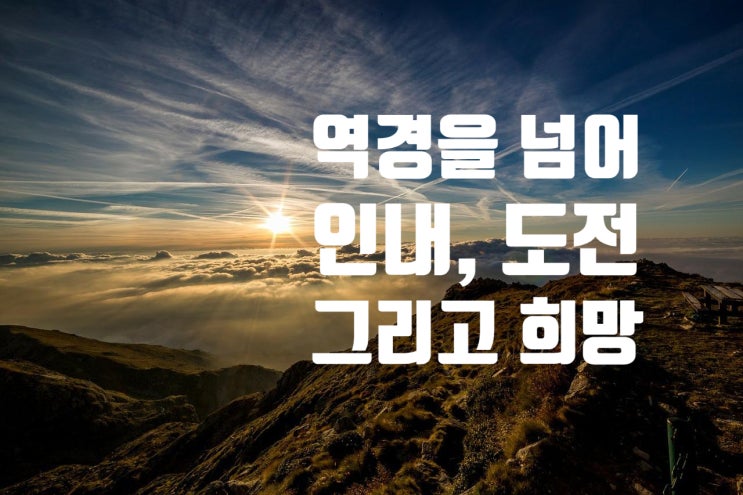 시세를 결정하는 것은 결국 대중의 심리다.(feat : 코스톨라니의 달걀이론) 시세를 결정하는 것은 결국 대중의 심리다.(feat : 코스톨라니의 달걀이론)