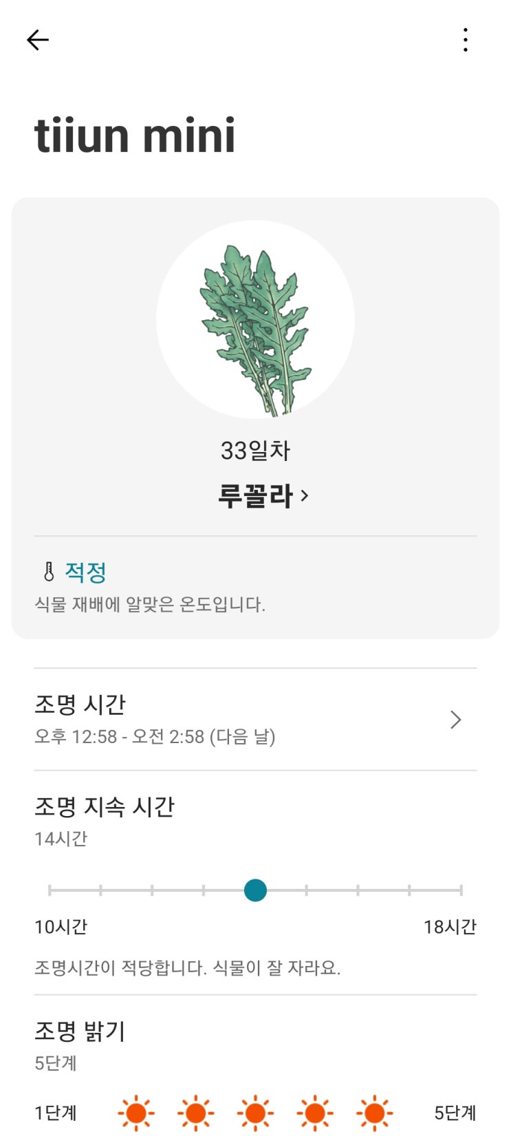  LG틔운 미니 루꼴라 33일차