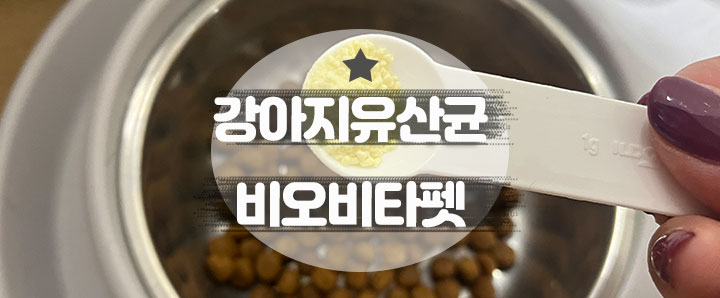 [반려동물 영양제] 강아지 장 건강을 책임져주는 맛있는 강아지 유산균 : 비오비타펫