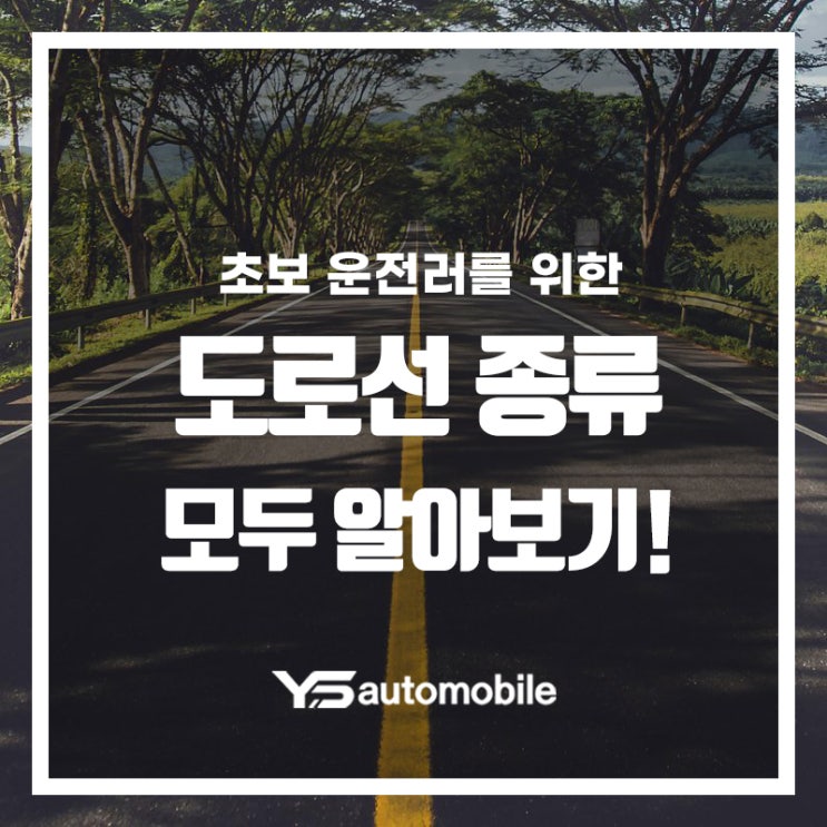  초보운전 다 모여라! 교통 꿀팁! 도로 위에 선 종류와 의미 모두 알려드리겠습니다!