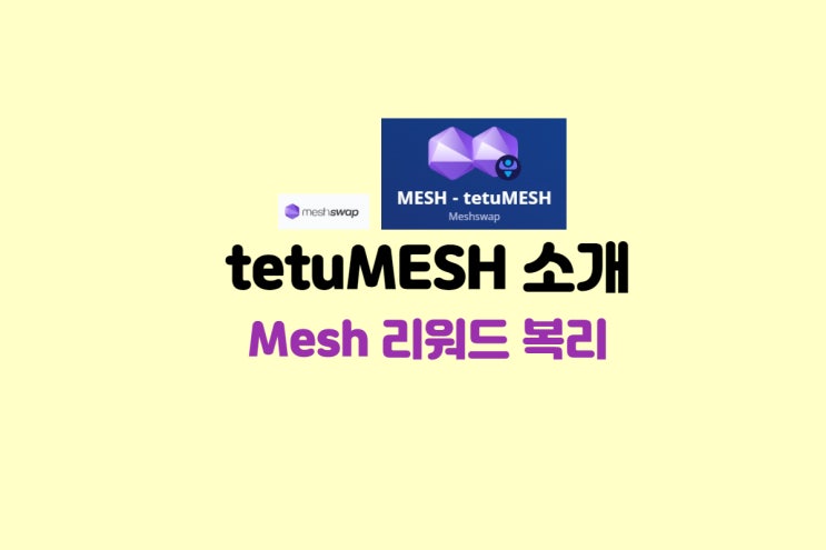  tetuMESH소개