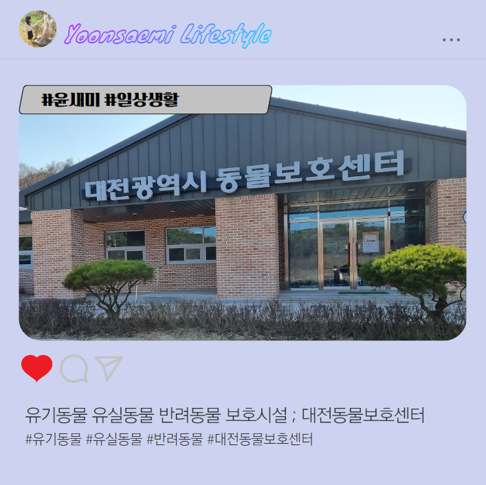  유기동물 유실동물 반려동물 보호시설 ; 대전동물보호센터