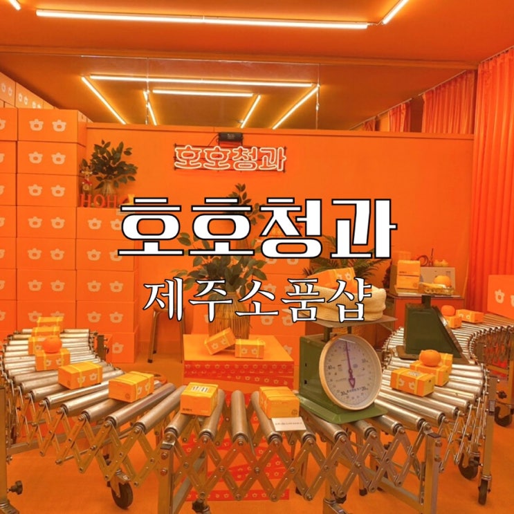  제주 호호청과 주황빛 가득한 제주시청 소품샵