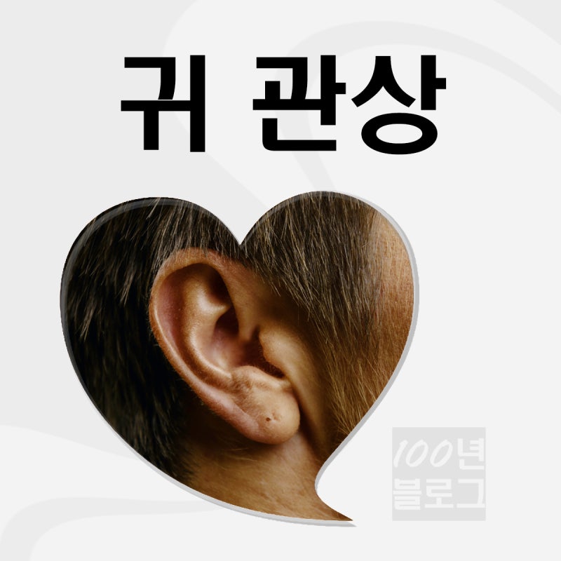 귀 관상 12가지 귀 모양으로 본 내 관상은? : 네이버 블로그