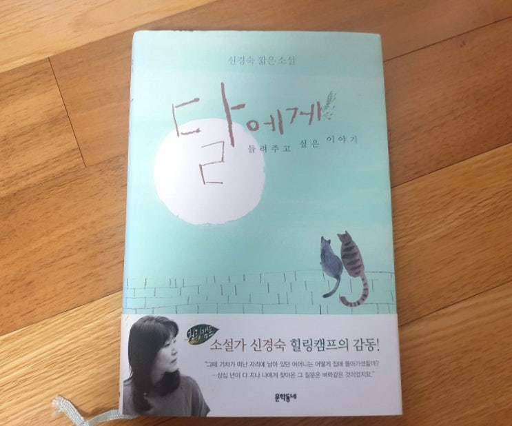  달에게 들려주고 싶은 이야기