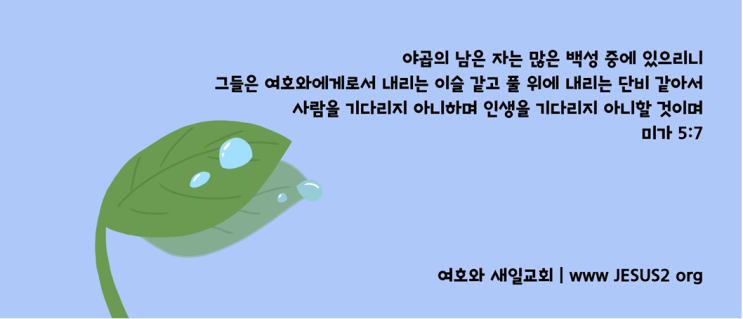 여호와 새일교회 이미지