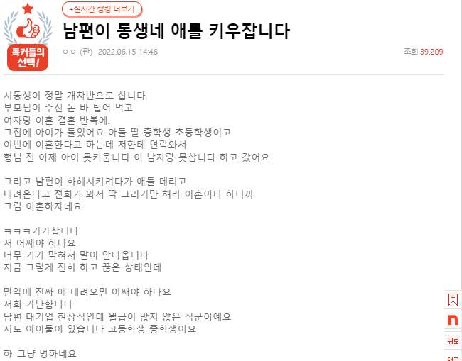 남편이 동생네 애를 키우잡니다 남편이 동생네 애를 키우잡니다