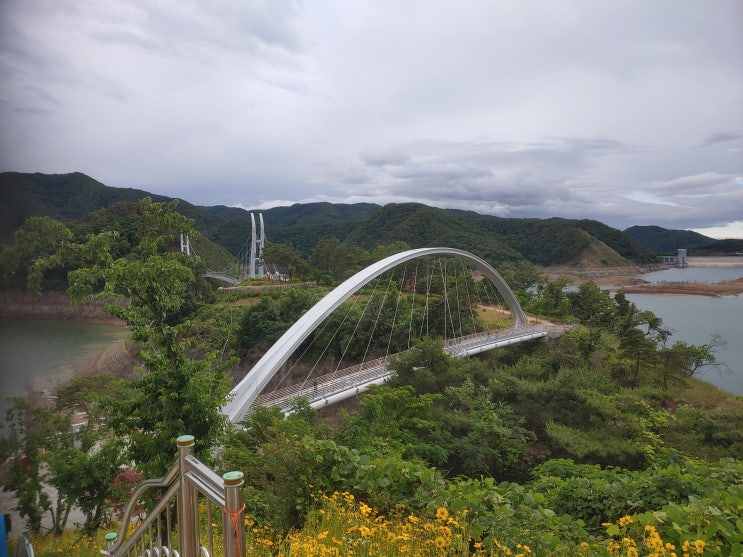 경상북도 영주여행 (영주댐 볼거리 :  '힐링 열두구비' 그리고 용마루공원과 용천루 출렁다리)