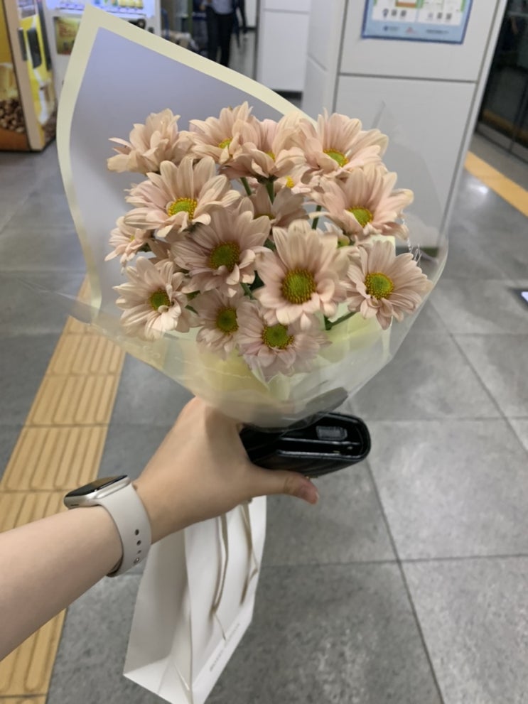  주간일기챌린지 : 6월의 기록 세 번째/다또제 일상