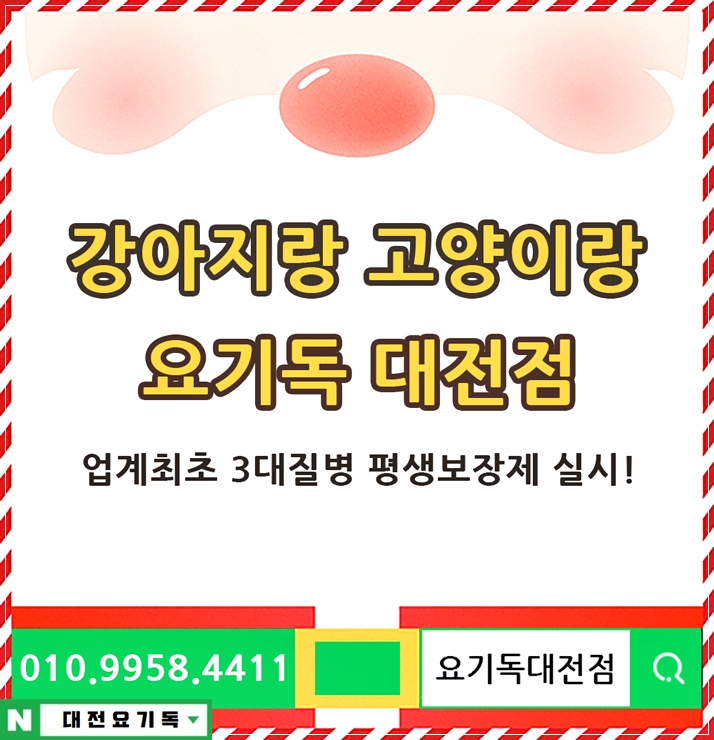  세종파티푸들분양 사후관리가 중요해요