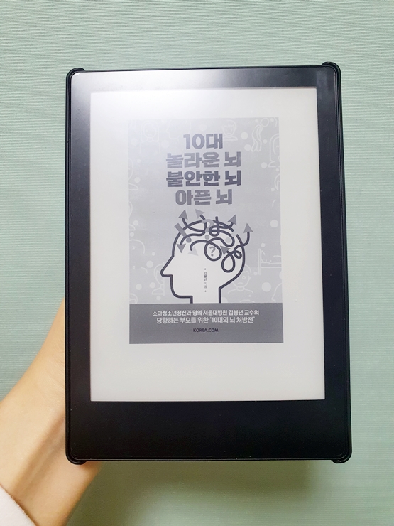  [부모교육] 10대의 놀라운 뇌 불안한 뇌 아픈 뇌(김붕년) 후기