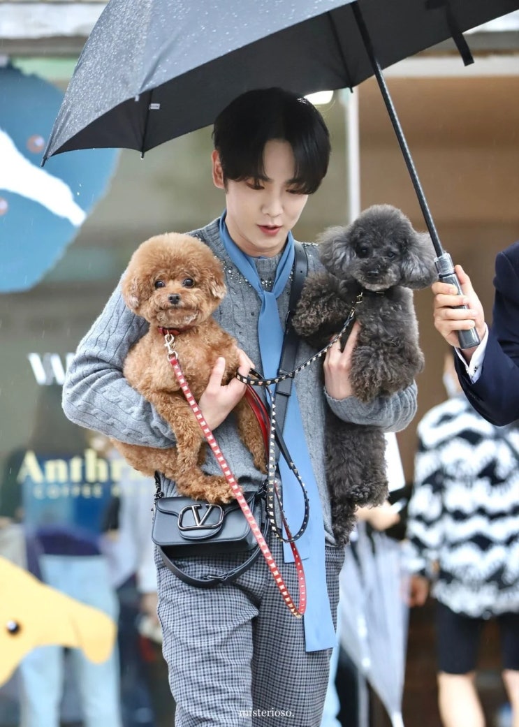 기범이네 꼼데가르송 상냥한 강아지 미소 기범이네 꼼데가르송 상냥한 강아지 미소