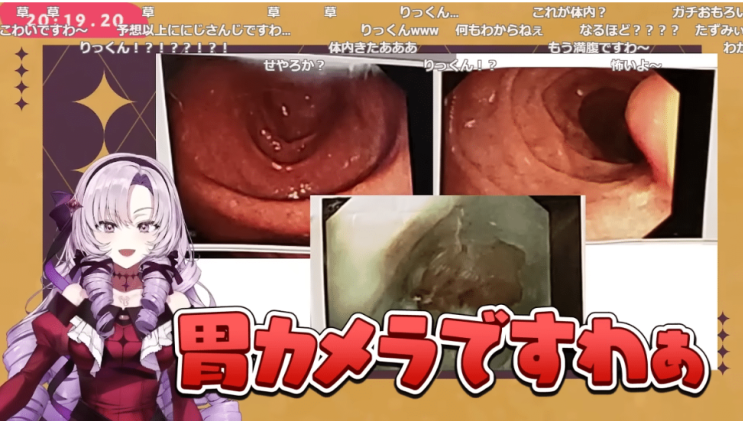  데뷔 2주일만에 100만명 구독자를 달성!, 아가씨가 되고싶은 소녀 하쿠만텐바라 살로메에 대하여