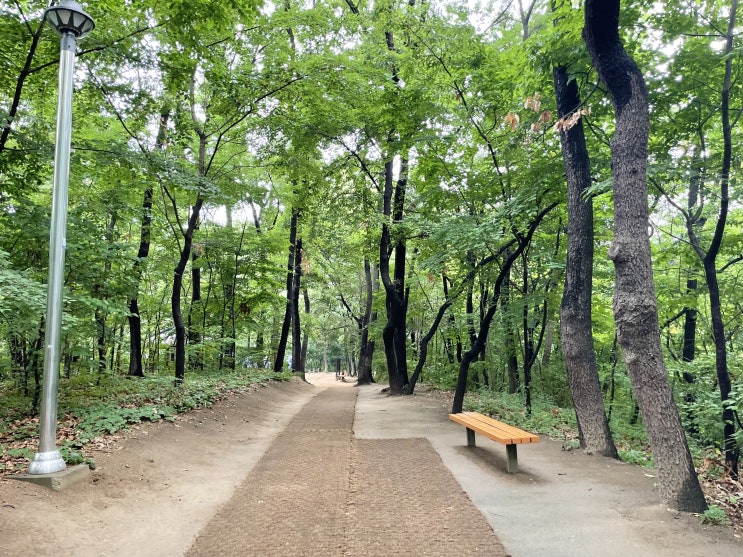 호계동 산책하기 좋은 호계근린공원