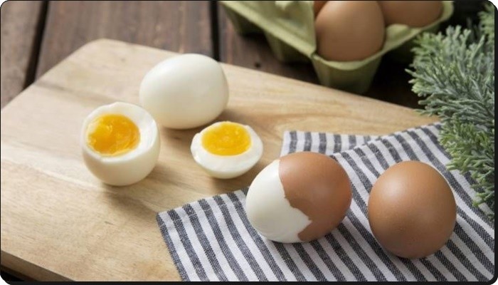 바디채널대실점 운동 후 계란섭취!! 노른자에 관한 진실 : 네이버 블로그