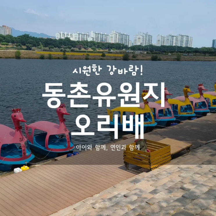  대구 동촌유원지 오리배 아이와 함께 가볼만한 곳