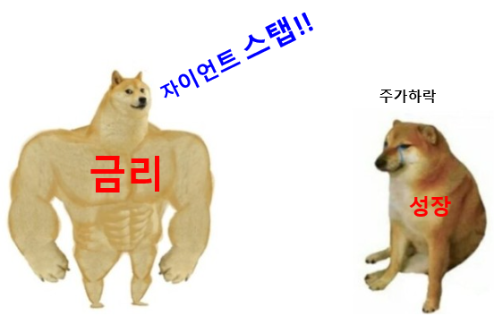  금리인상과 주가하락에 대한 점검