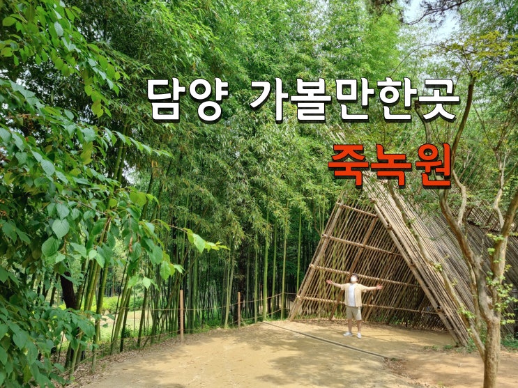 대나무의 매력에 빠지다. 담양 죽녹원(2022.06.12)
