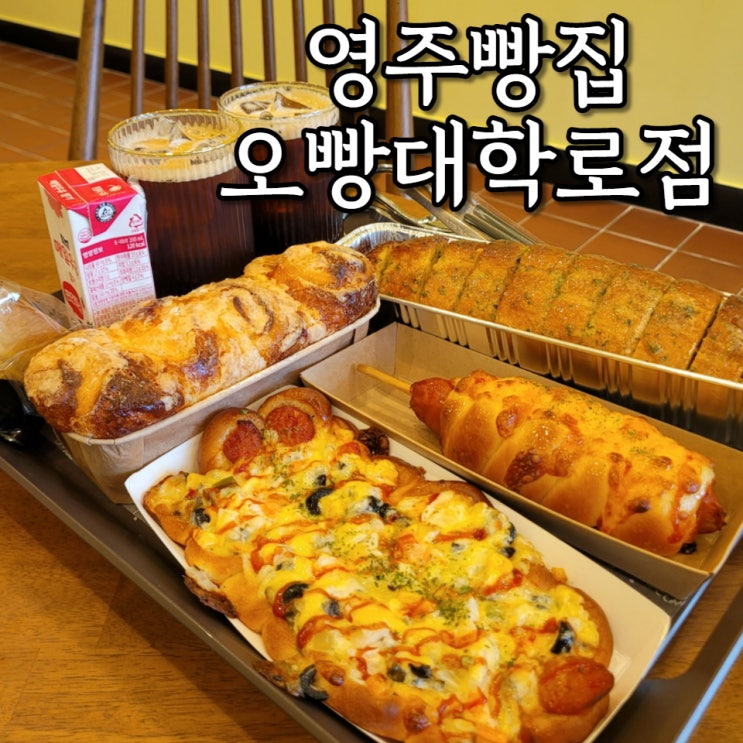  영주 빵집 오빵 대학로점 도넛 식빵 샌드위치 다 맛있어서 매주 가는 단골 빵집