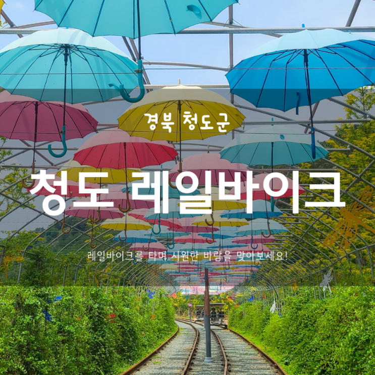  청도 레일바이크 주차장, 가격, 예약,  대구근교 아이와 함께 가볼만한 곳