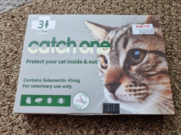  내돈내산 : 캐치원 고양이 심장사상충 예방 : CatchOne
