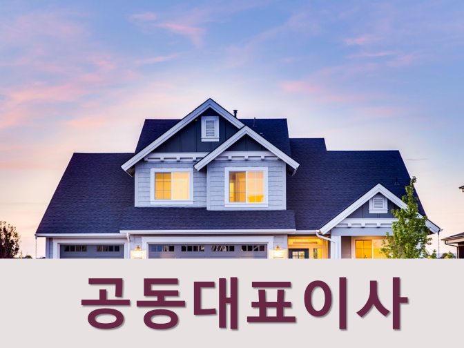  공동대표이사와 각자대표의 장단점 및 주의사항