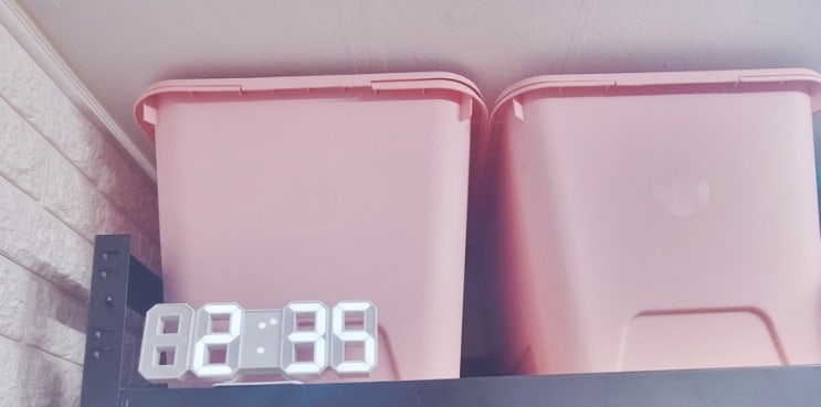  청소를 시작해 볼까요?