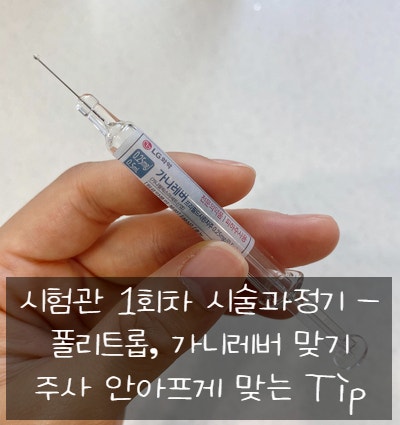  8. 시험관 신선 1차 시술과정기 - 과배란 주사(폴리트롭), 배란 억제 주사(가니레버) 맞기 / 주사 안 아프게 맞는 방법